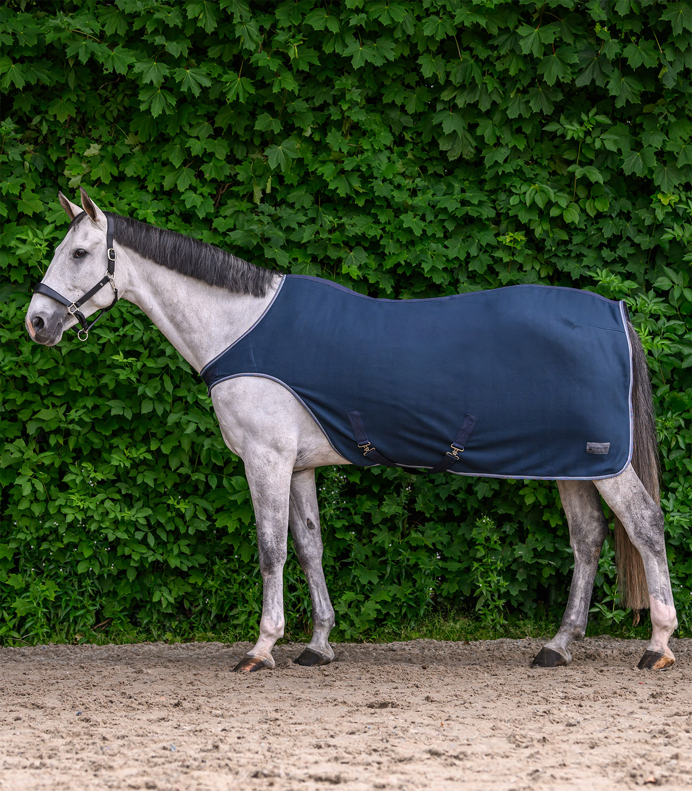 Waldhausen ECONOMIC fleece horse walker rug - night blue