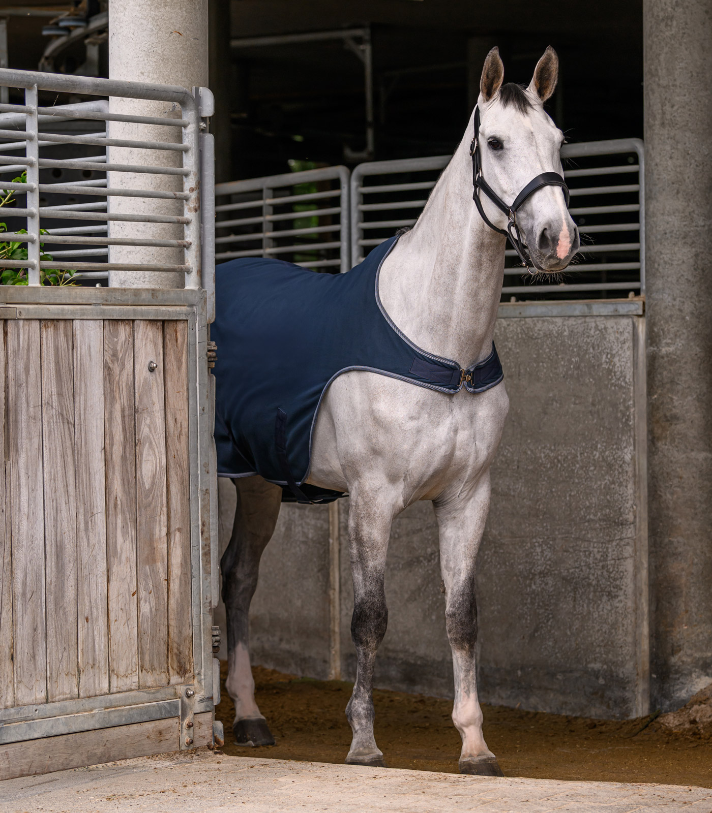 Waldhausen ECONOMIC fleece horse walker rug - night blue - 6