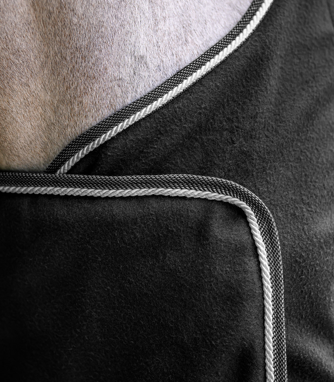 Waldhausen ECONOMIC fleece and sponsor rug - black - 3