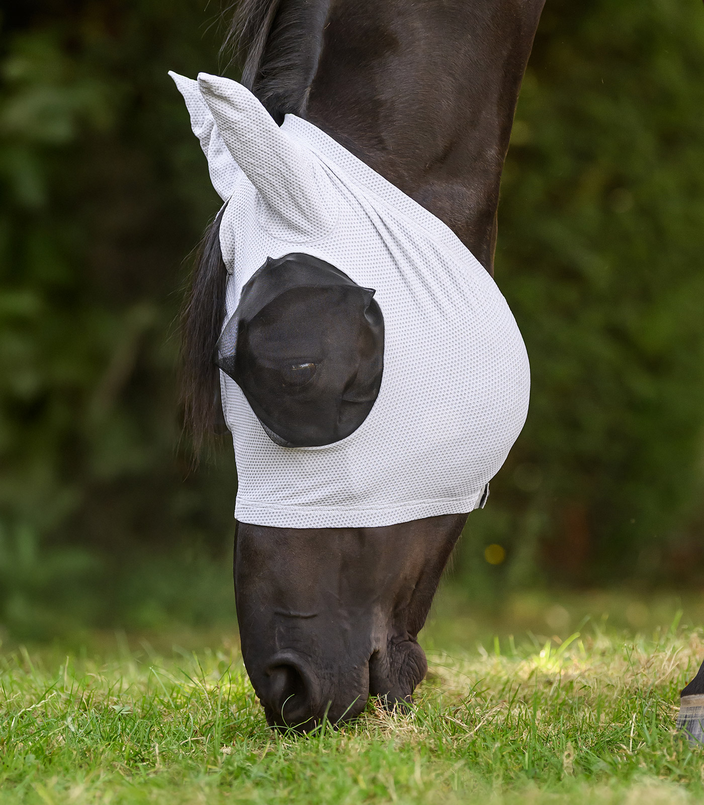 Waldhausen Puck Breath fly mask - silver grey - 4