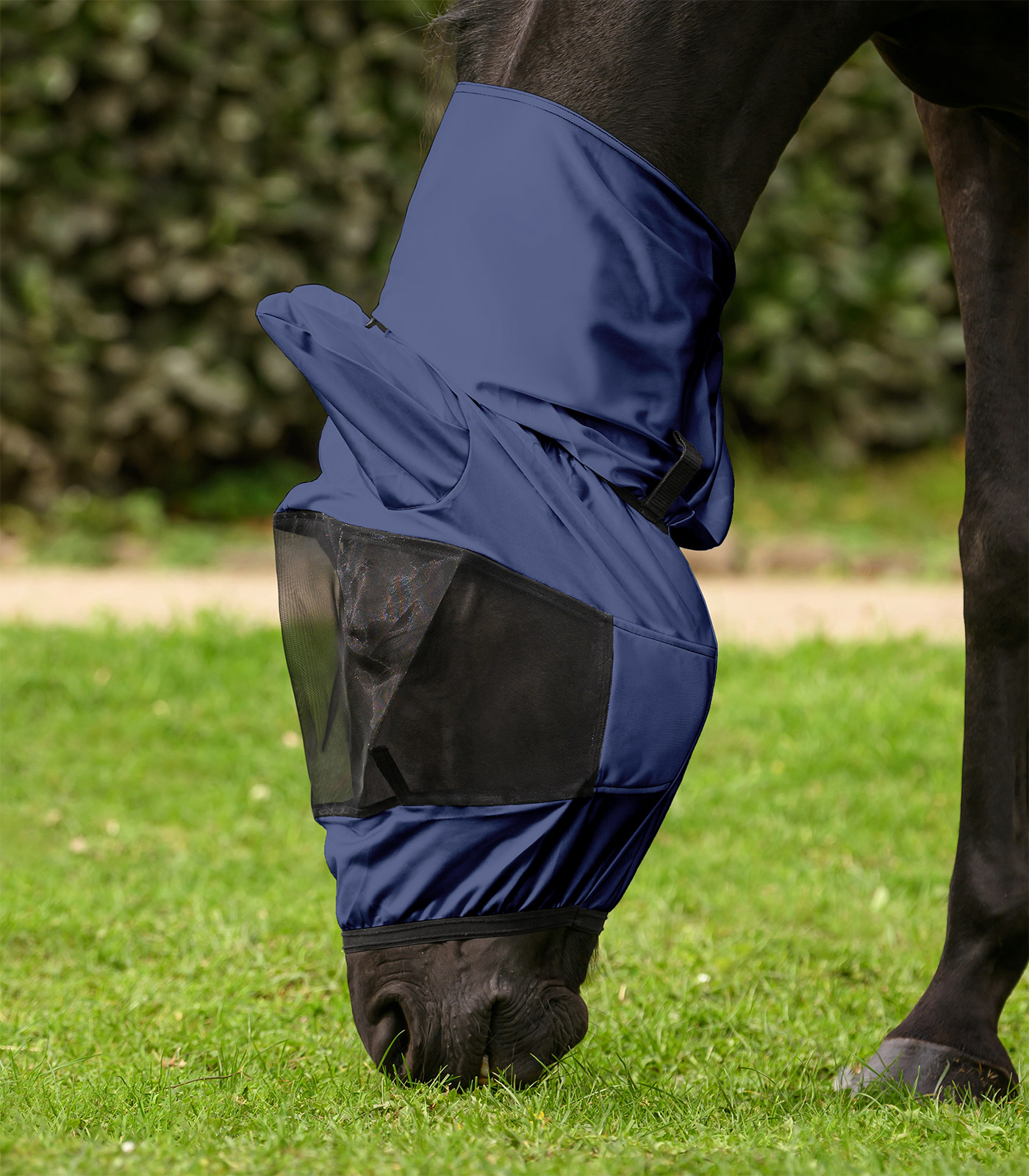 Waldhausen Eczema fly mask - night blue - 3
