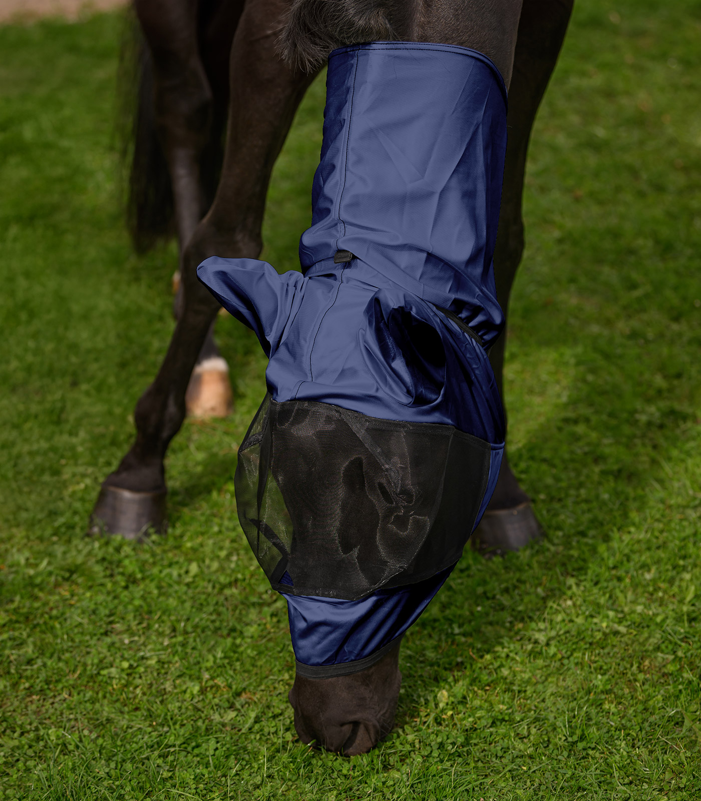 Waldhausen Eczema fly mask - night blue - 4
