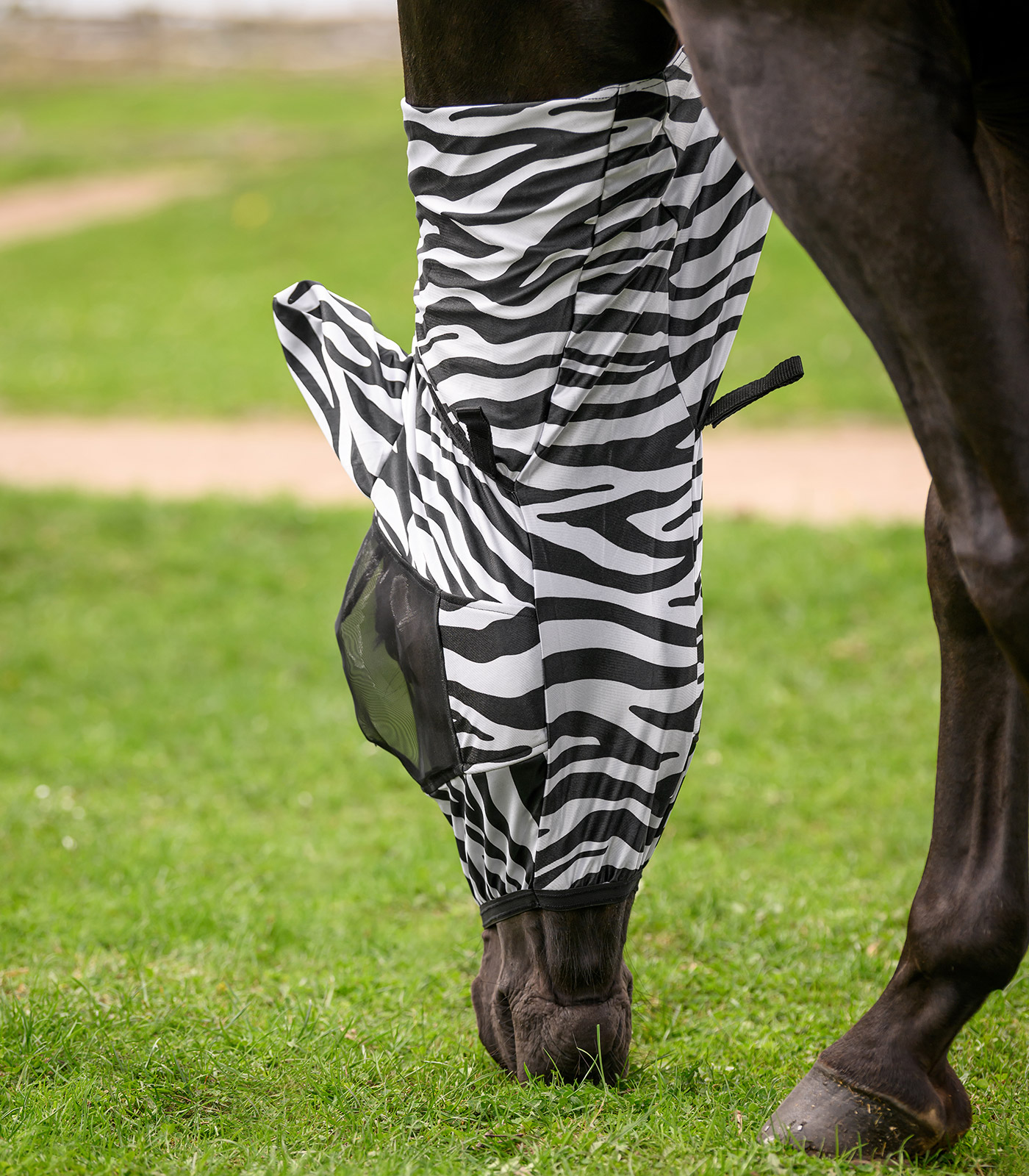Waldhausen Zebra eczema fly mask - black/white - 6