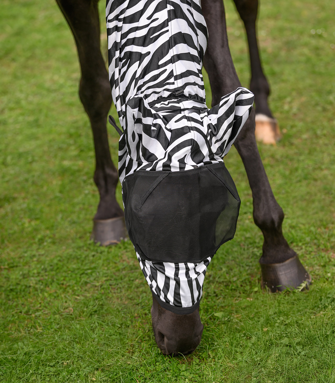 Waldhausen Zebra eczema fly mask - black/white - 5