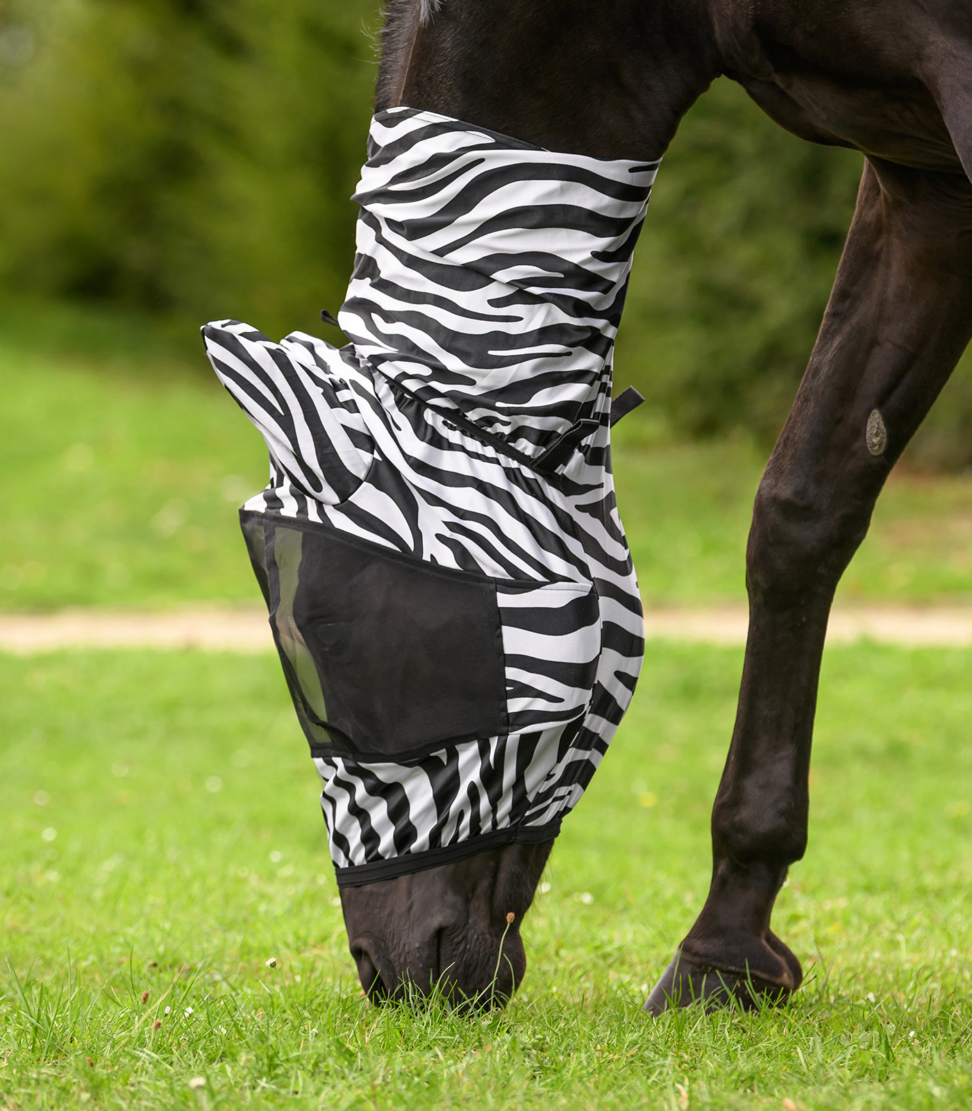 Waldhausen Zebra eczema fly mask - black/white - 4