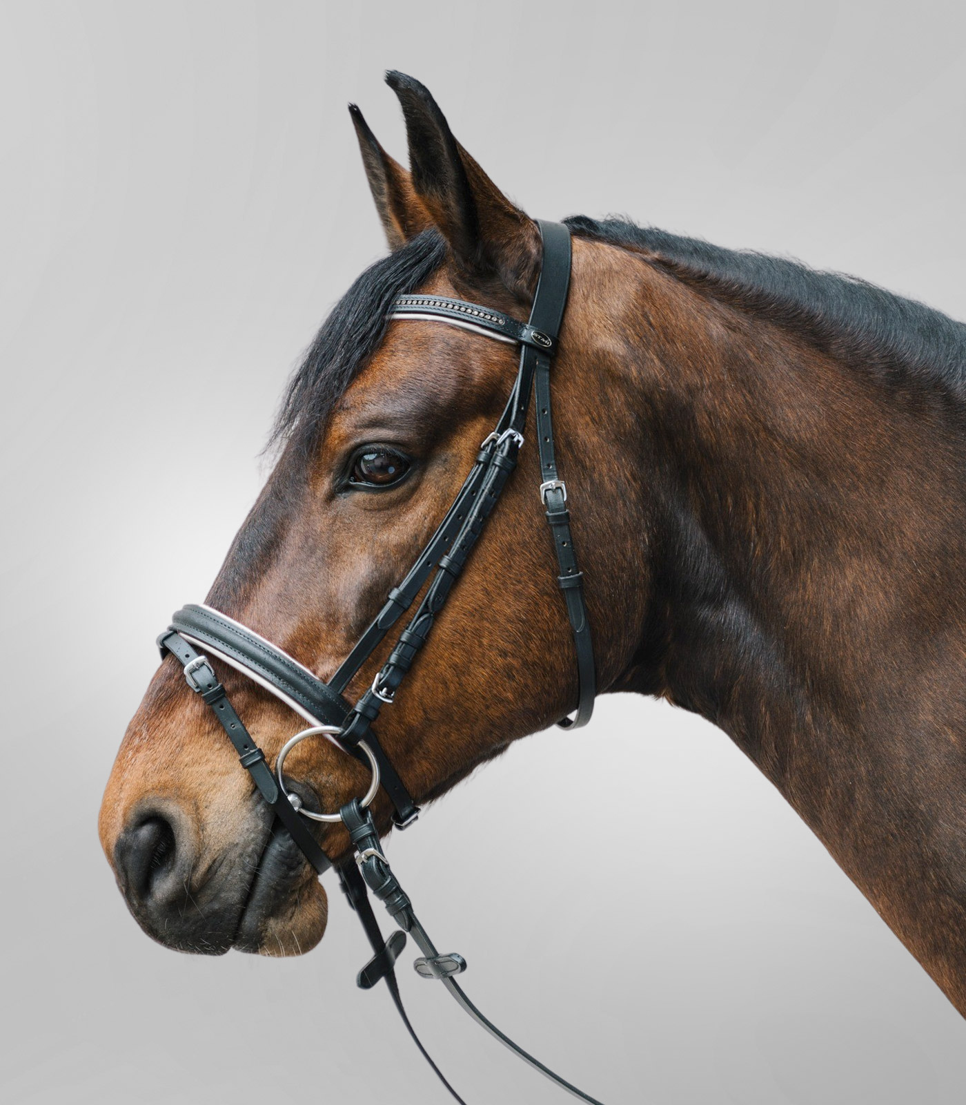 STAR bridle Diamond - white