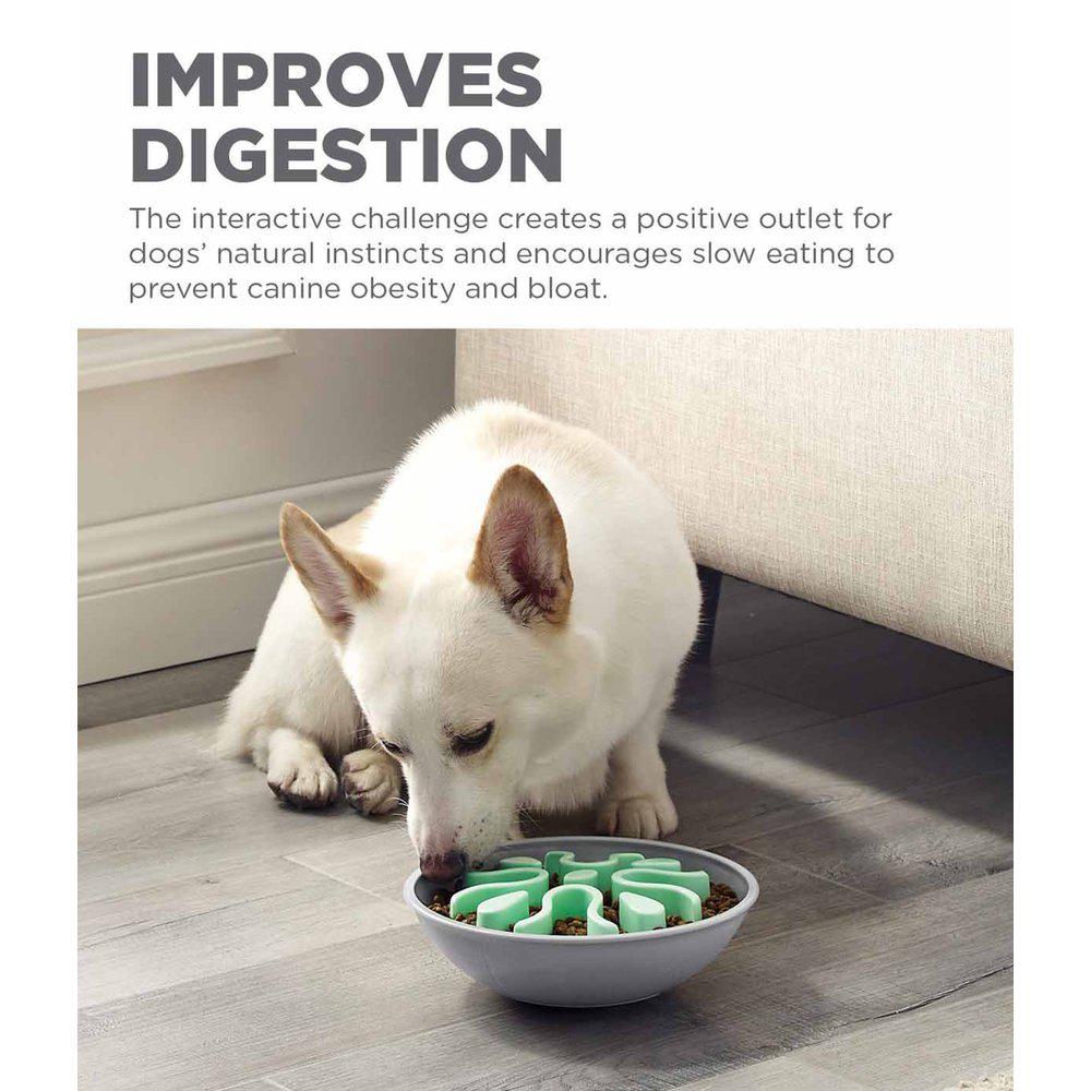 Outward Hound Oh Fun Feedeer Wobble Slo Bowl Mint 