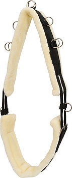 HorseGuard Teddy Lunging Surcingle Black