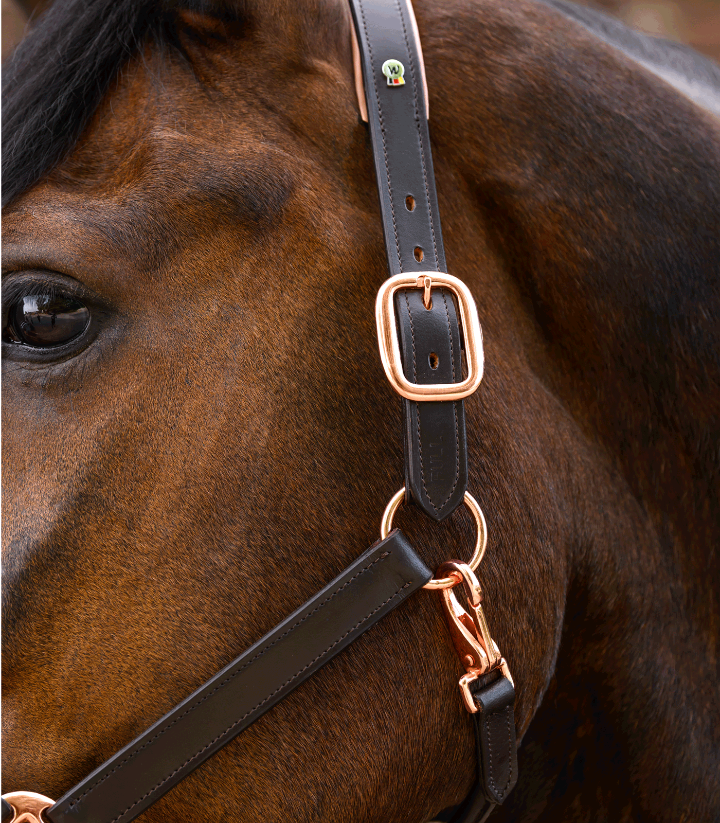 Waldhausen X-Line lädergrimma Rosé - brun - 4