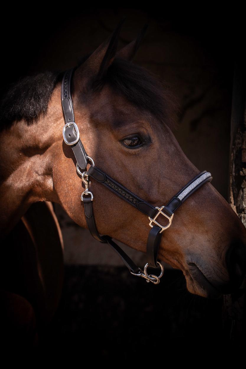 Penelope Harmonie Grimma Svart (Cob)