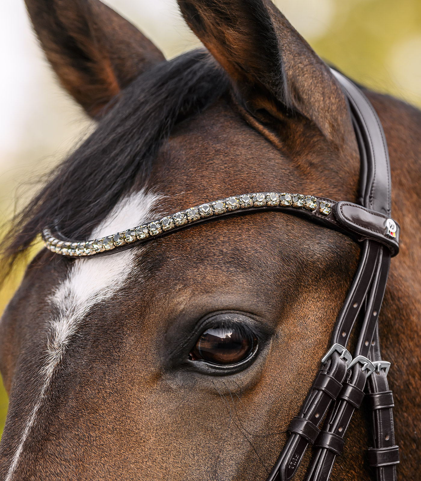 Waldhausen Shine Waldhausen X-Line browband, brown - silver - 2
