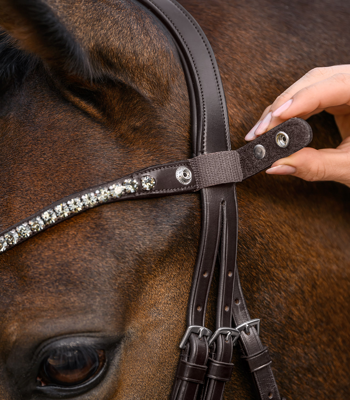 Waldhausen Shine Waldhausen X-Line browband, brown - silver - 3
