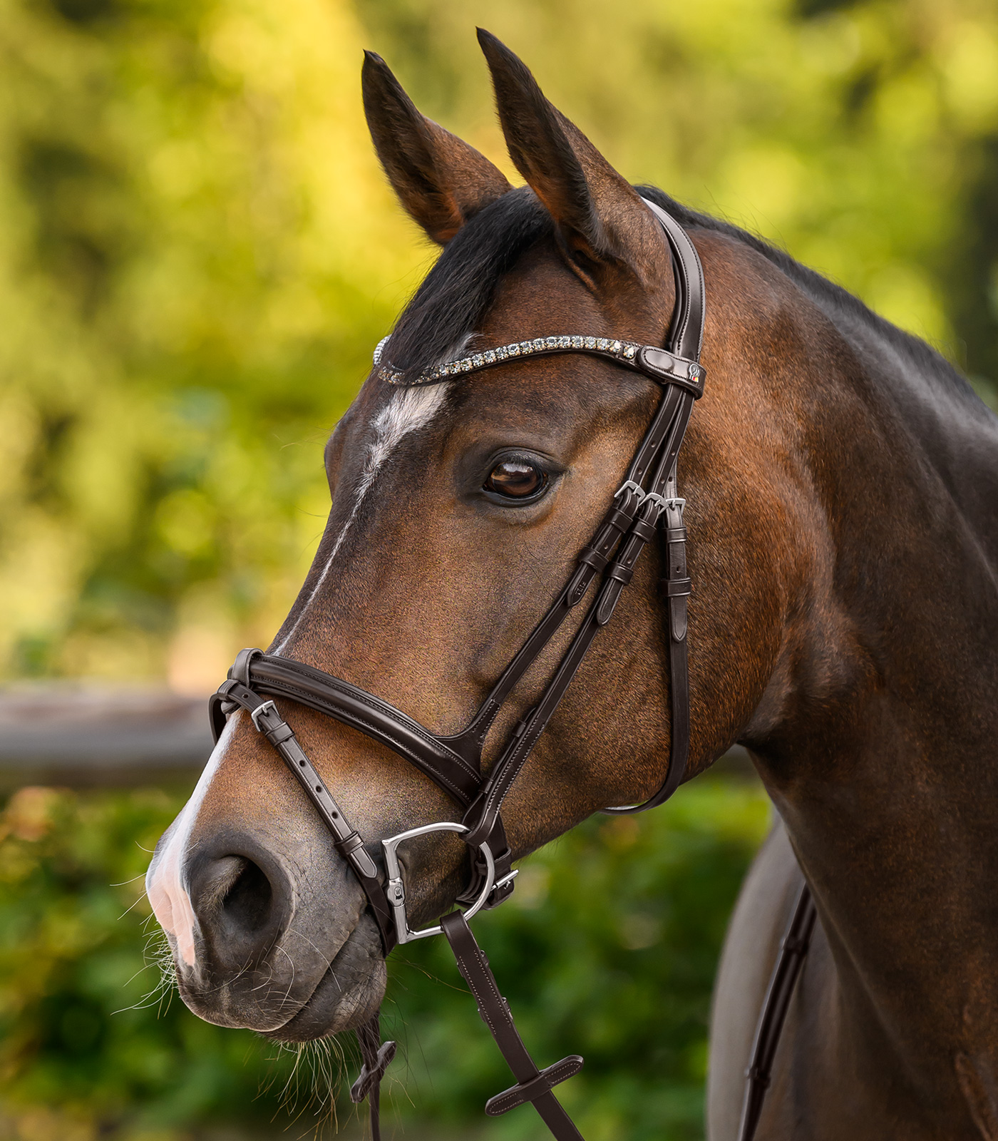 Waldhausen Shine Waldhausen X-Line browband, brown - silver - 4