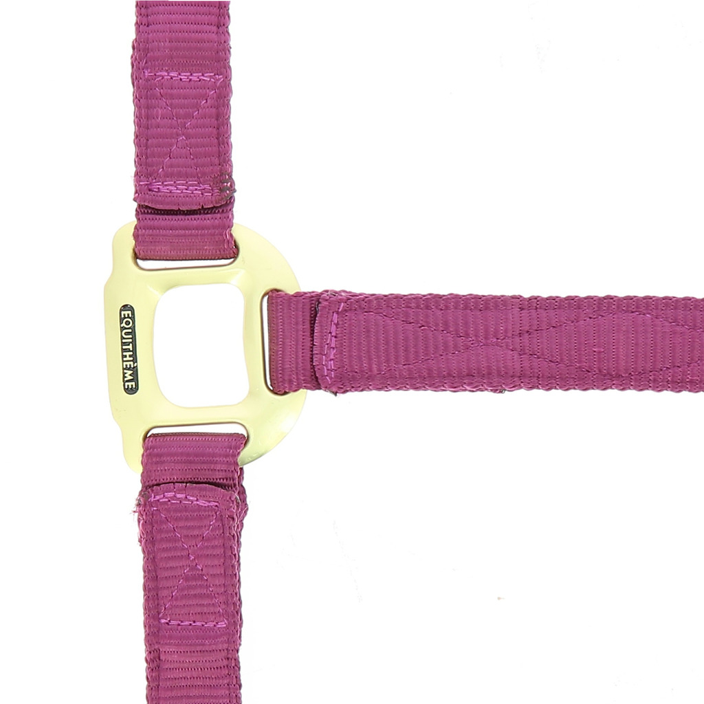 EQUITHEME Nylonriimu Burgundy, Full