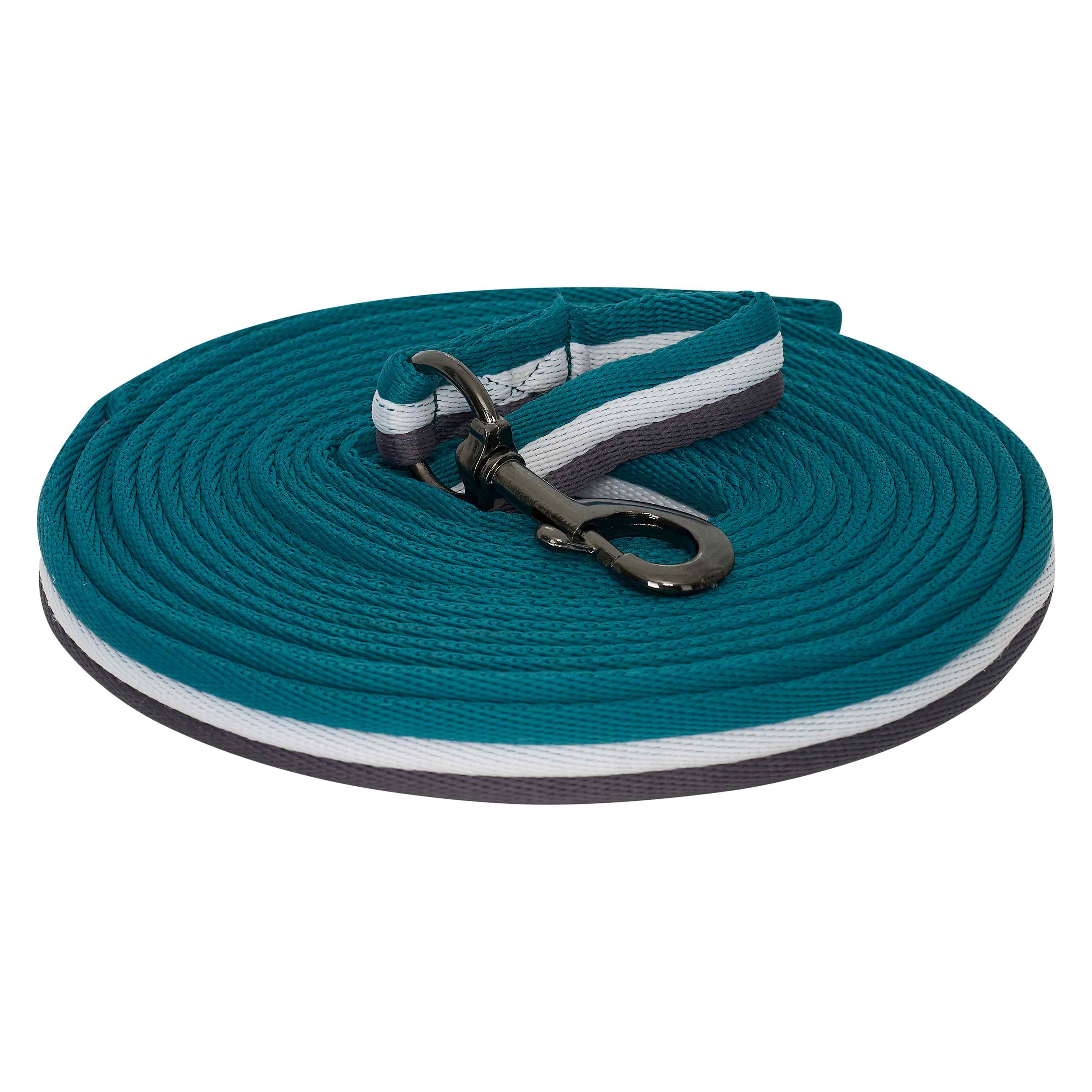 Imperial Riding Lunging line Ocean