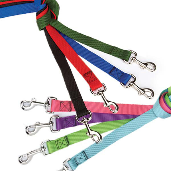 Nylon Dog Leads - Brites