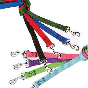Nylon Dog Leads - 8 Different colors