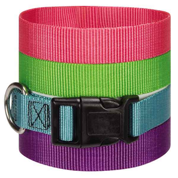 Nylon Dog Leads - 8 Different colors - 2