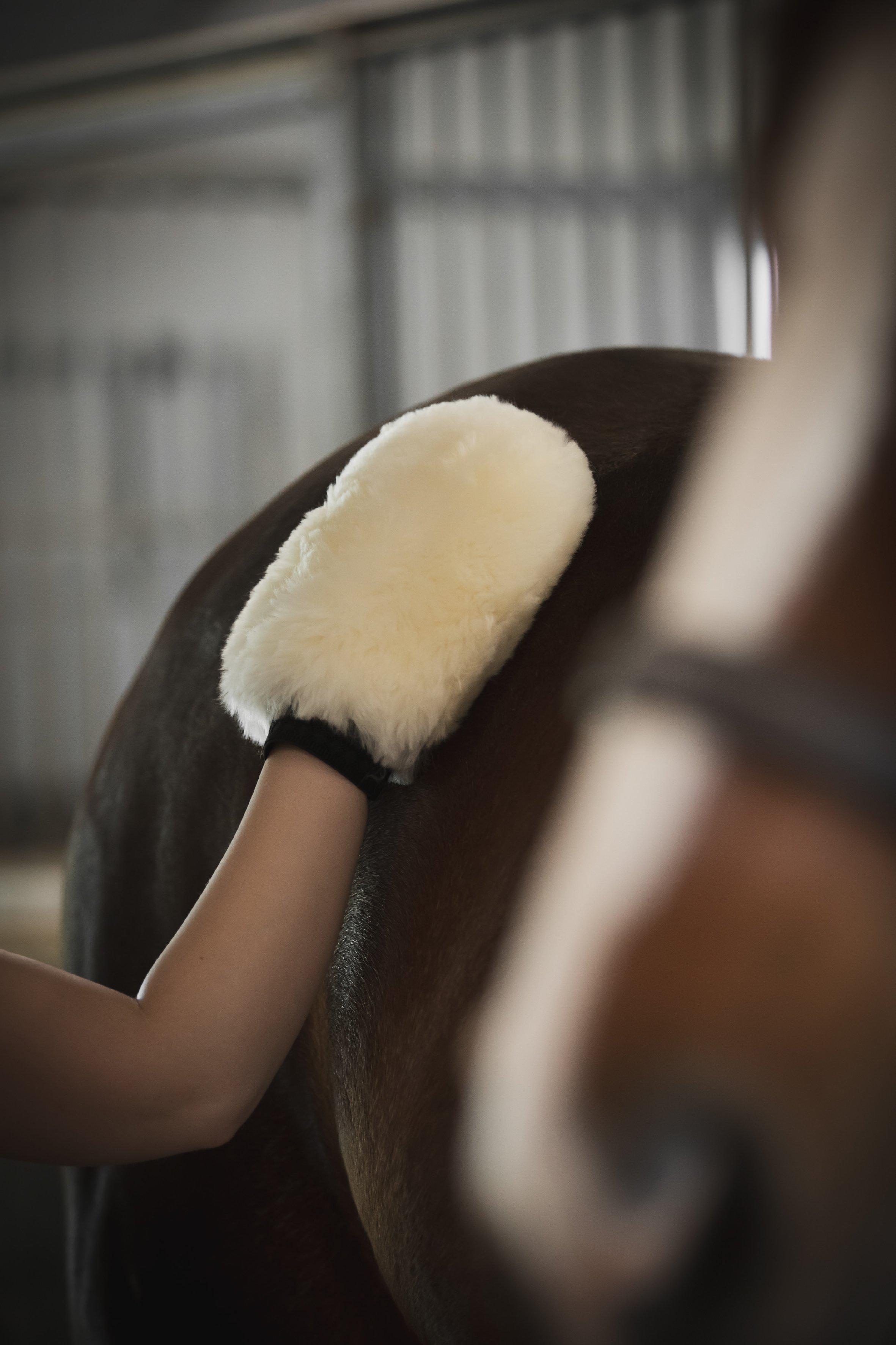 Protector Grooming Mitt, Sheepskin - Creme - 2