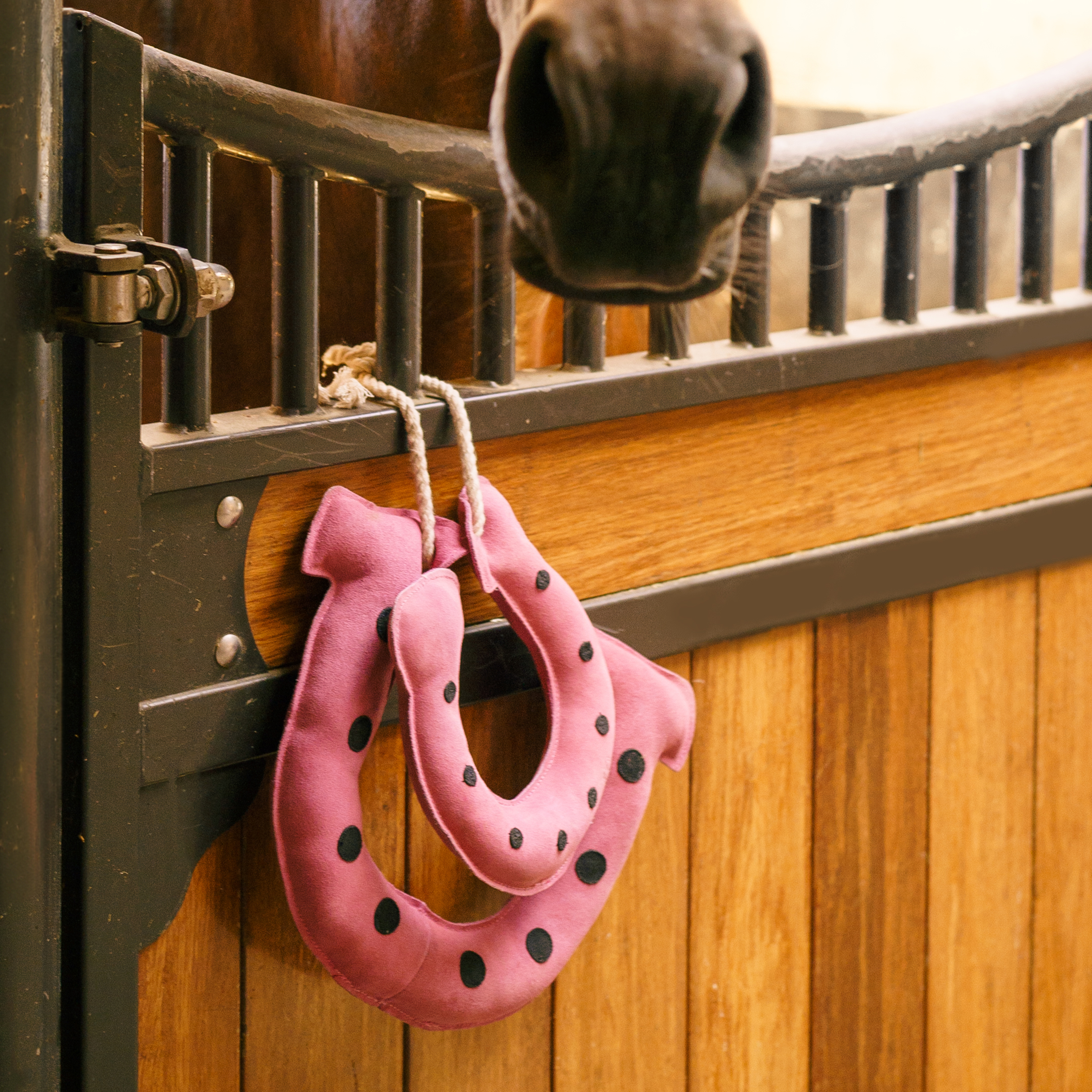 Imperial Riding Stable Buddy Hevosenkenkä Classy pink - 2