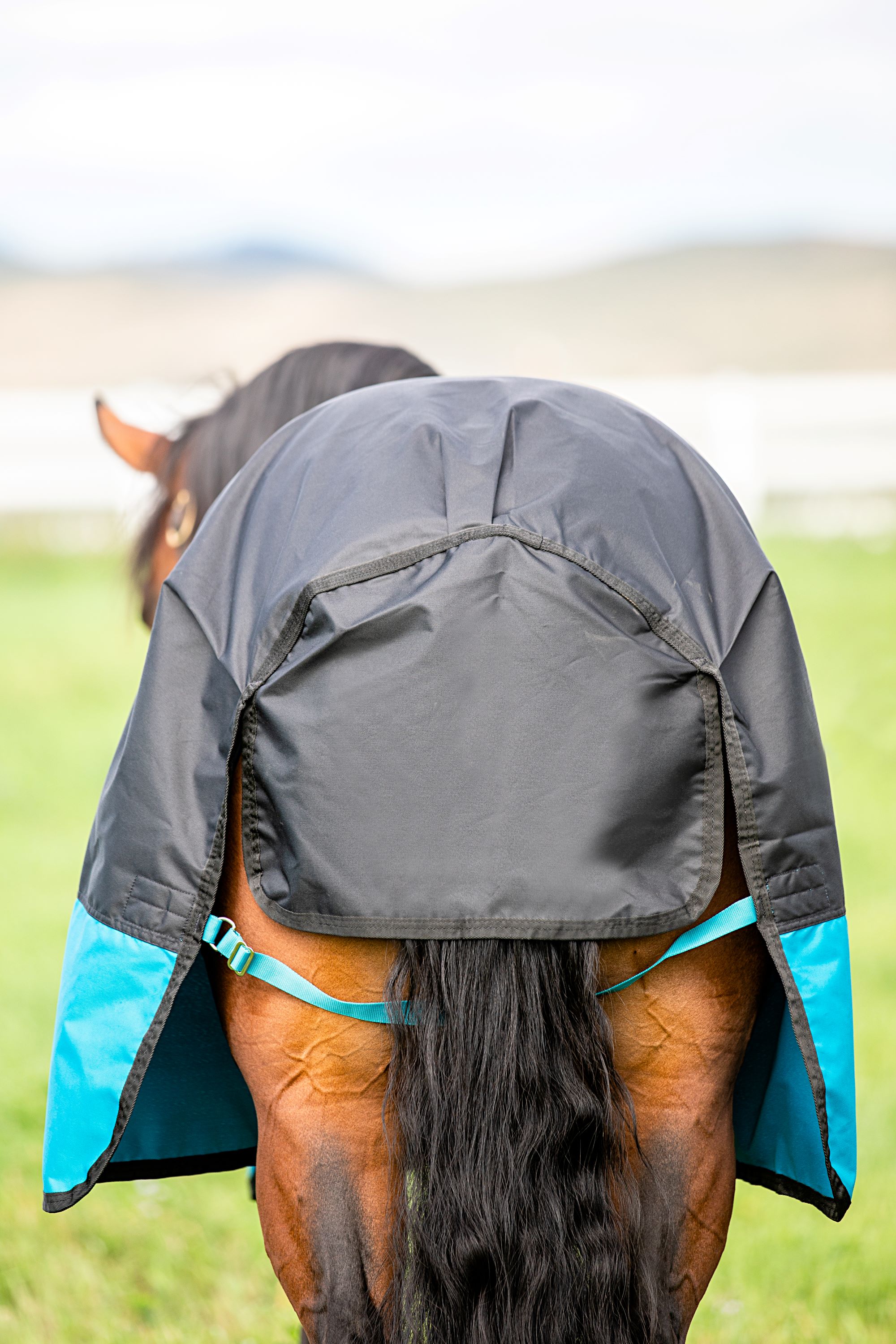 Horseware Mio Lite 0 g Outdoor Blanket Pony - Turquoise/Black & Black, 3'9 - 75 cm - only this copy - 5