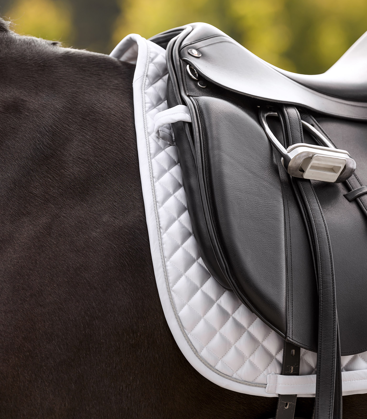 Waldhausen Felix Glam saddle pad - white - 3