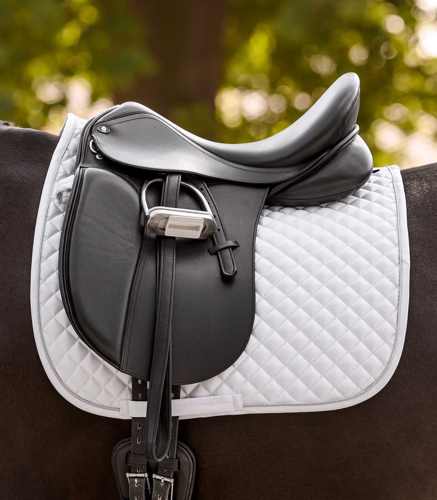 Waldhausen Felix Glam saddle pad - white - 2