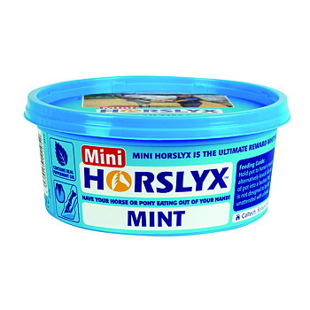 Horslyx Nuolukivi Mint 650g