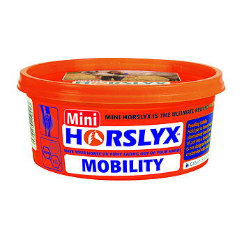 Horslyx Nuolukivi Mobility 650g