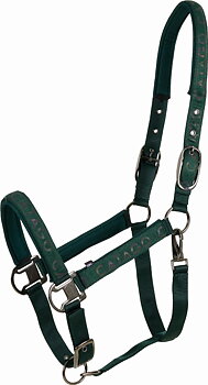 CATAGO Alea Reflective Halter - Ponderosa Pine
