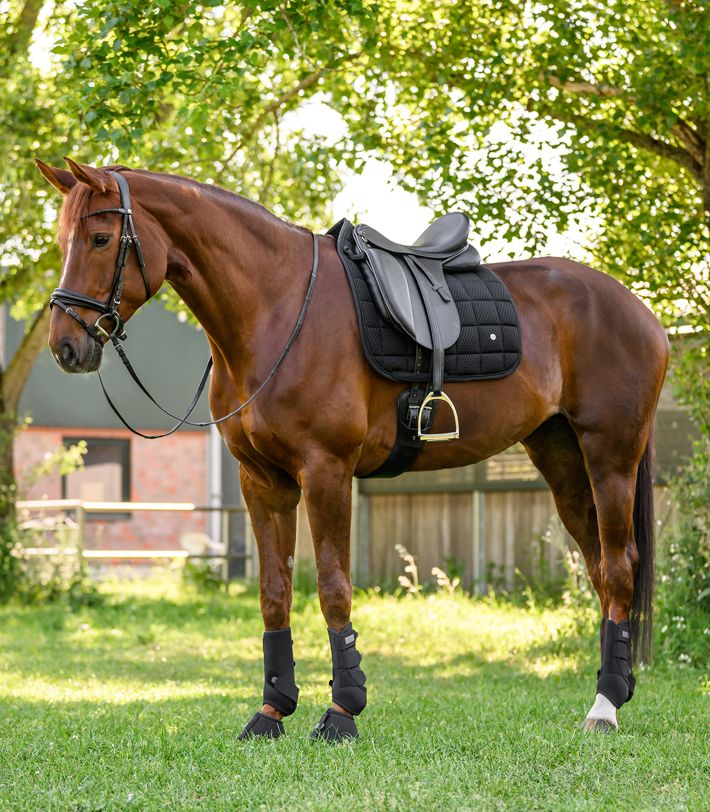 Waldhausen Breath Performance saddle pad - black - 5
