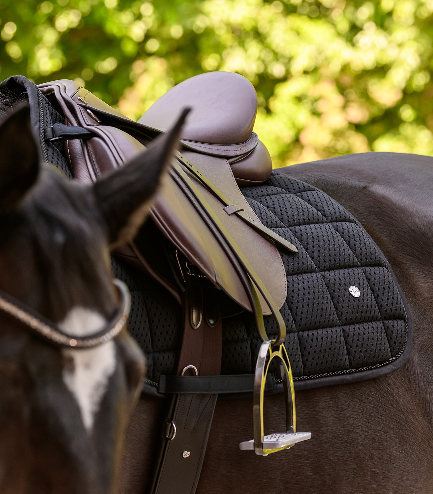Waldhausen Breath Performance saddle pad - black - 11