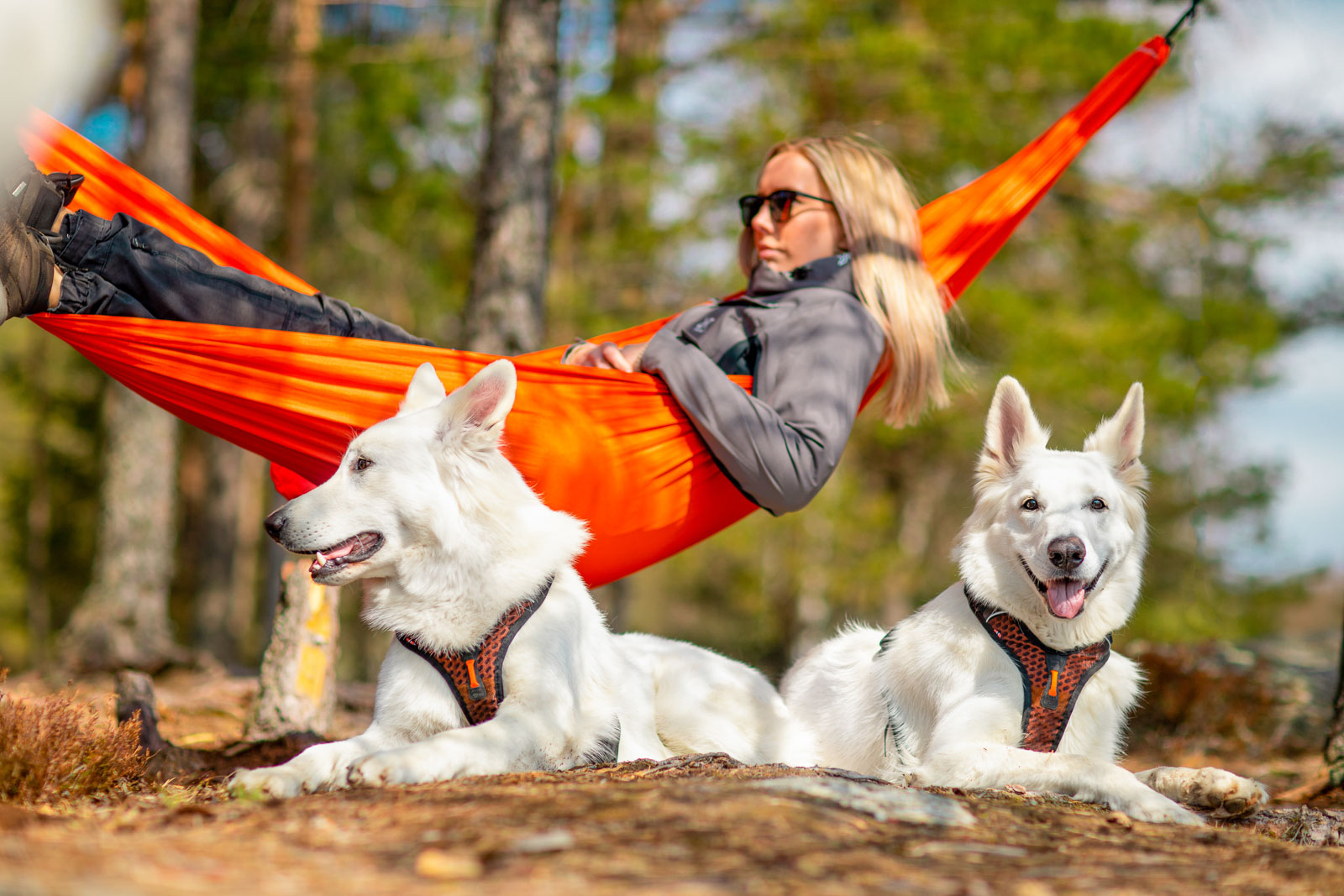 Non-stop Dogwear Rock Harness, S - 5
