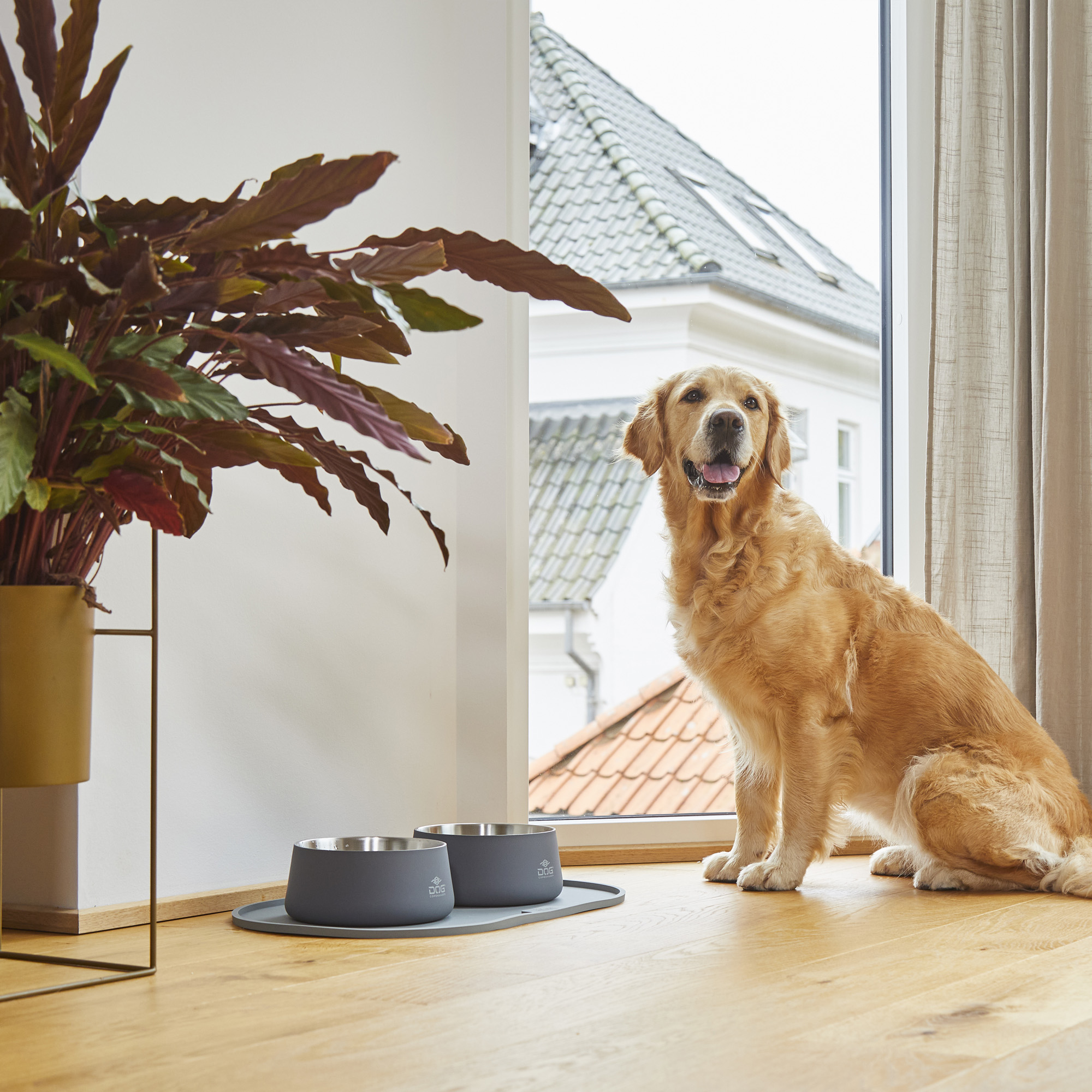Dog Copenhagen Vega Bowl - Cool Grey 