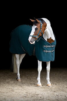 HorseGuard Layne Fleece Rug with Teddy - Ponderosa Pine