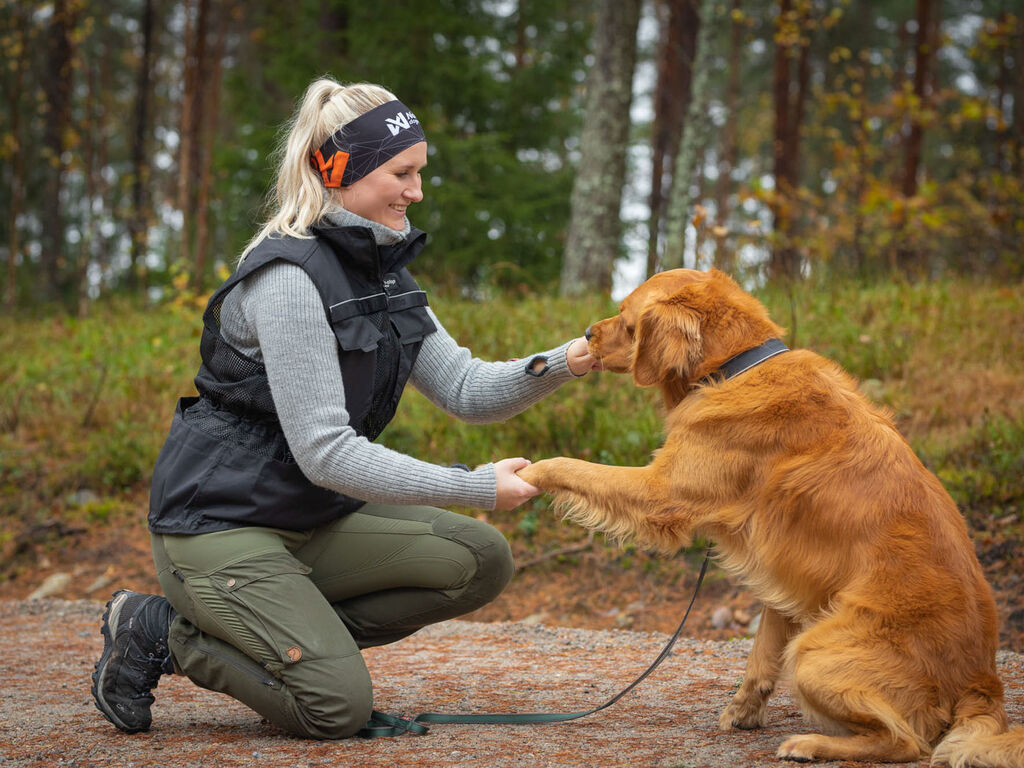 Non-Stop Dogwear Koirankoulutusliivi - Musta, S - 3