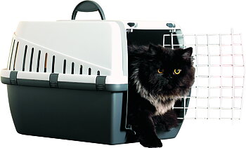 Trotter 1, 49x33x30 cm - Anthracite/Grey