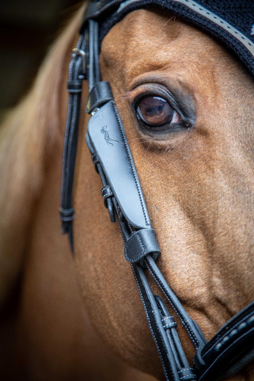 Pénélope Blinkers Black