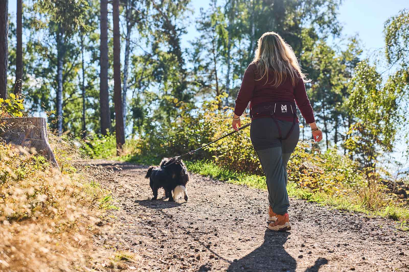 Non-Stop Dogwear Vaellusvyö 2.0 - Violetti, L 85-165 cm - 2