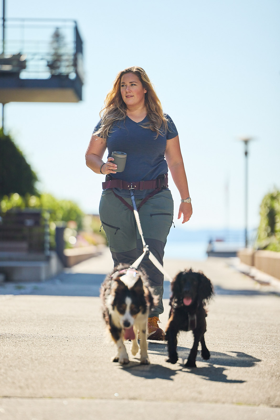 Non-Stop Dogwear Vaellusvyö 2.0 - Violetti, L 85-165 cm - 5