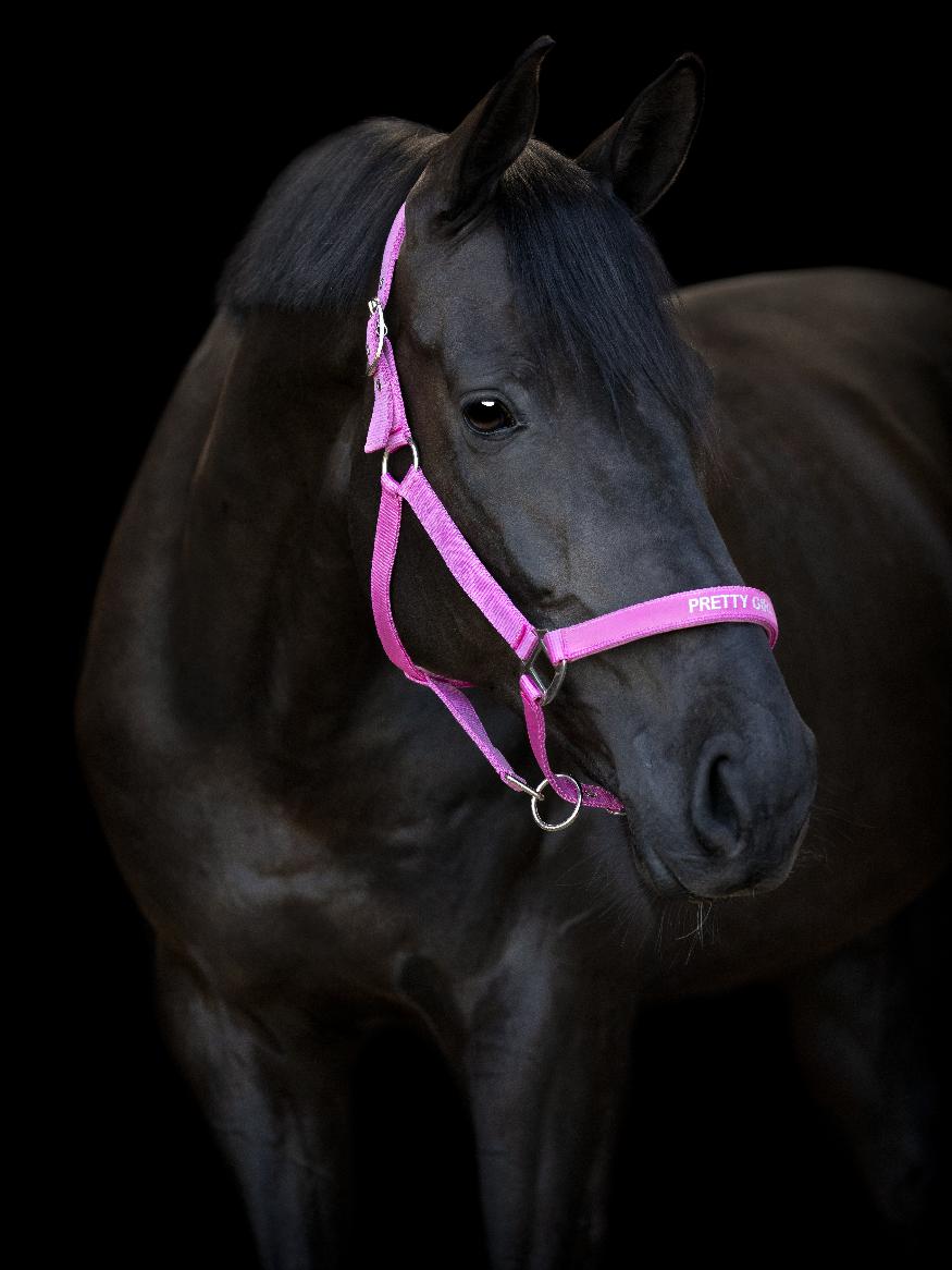 HorseGuard Malva Grimma 