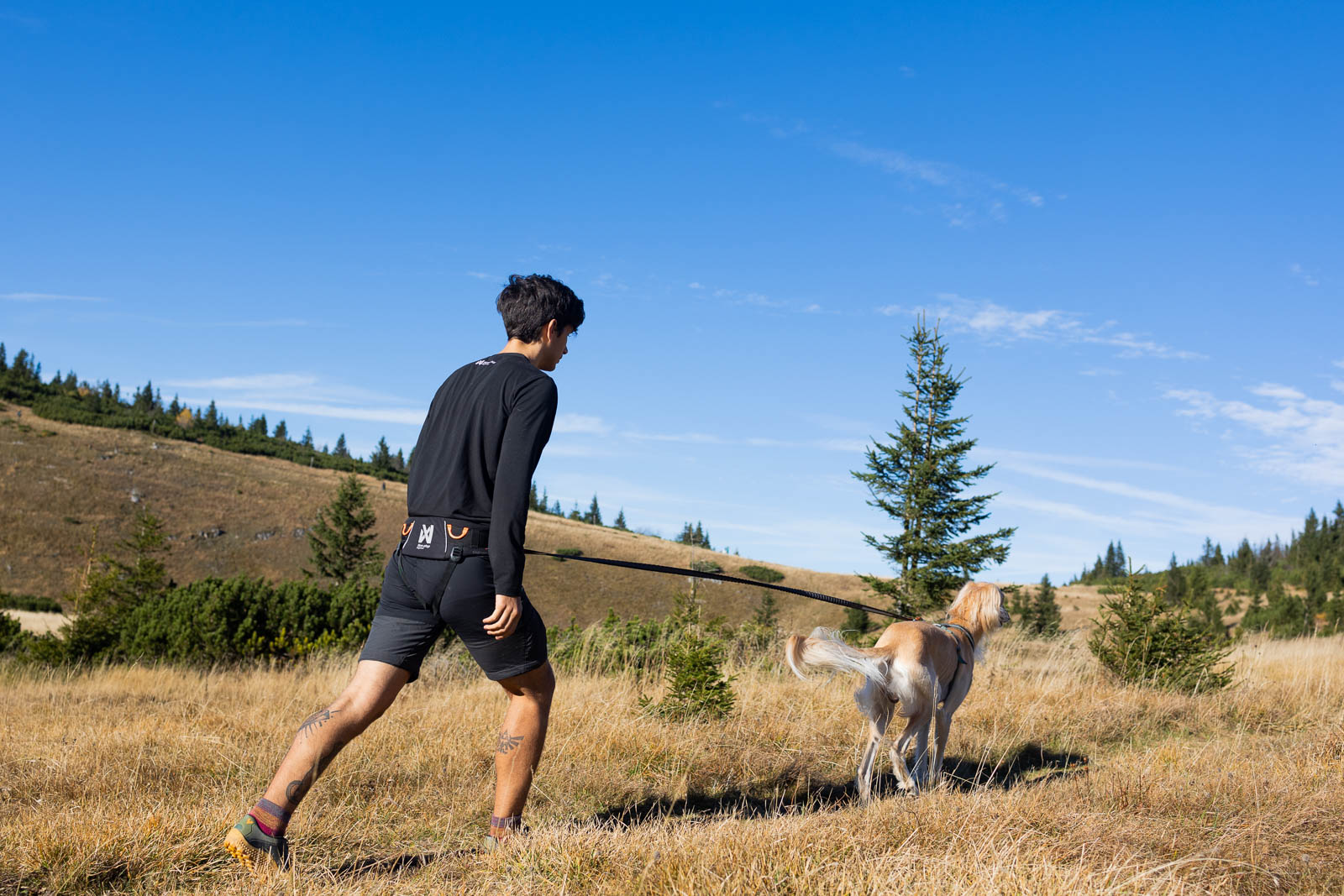 Non-Stop Dogwear Trekking Belt 2.0 - Musta, M - 4