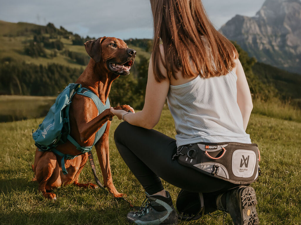 Non-Stop Dogwear Explore Belt -  Sand, L