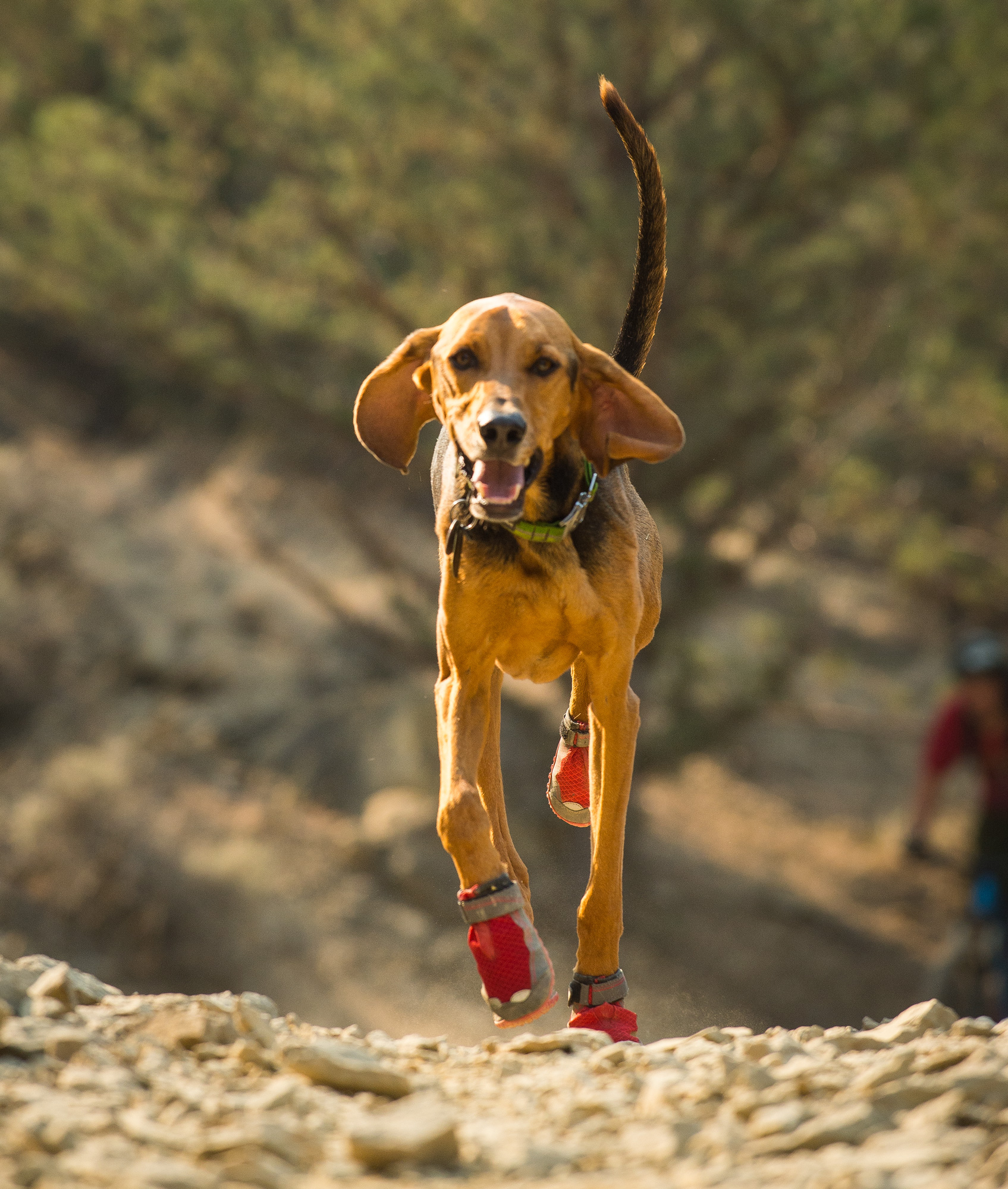 Ruffwear Grip Trex Dog Shoes 2 pack - 5