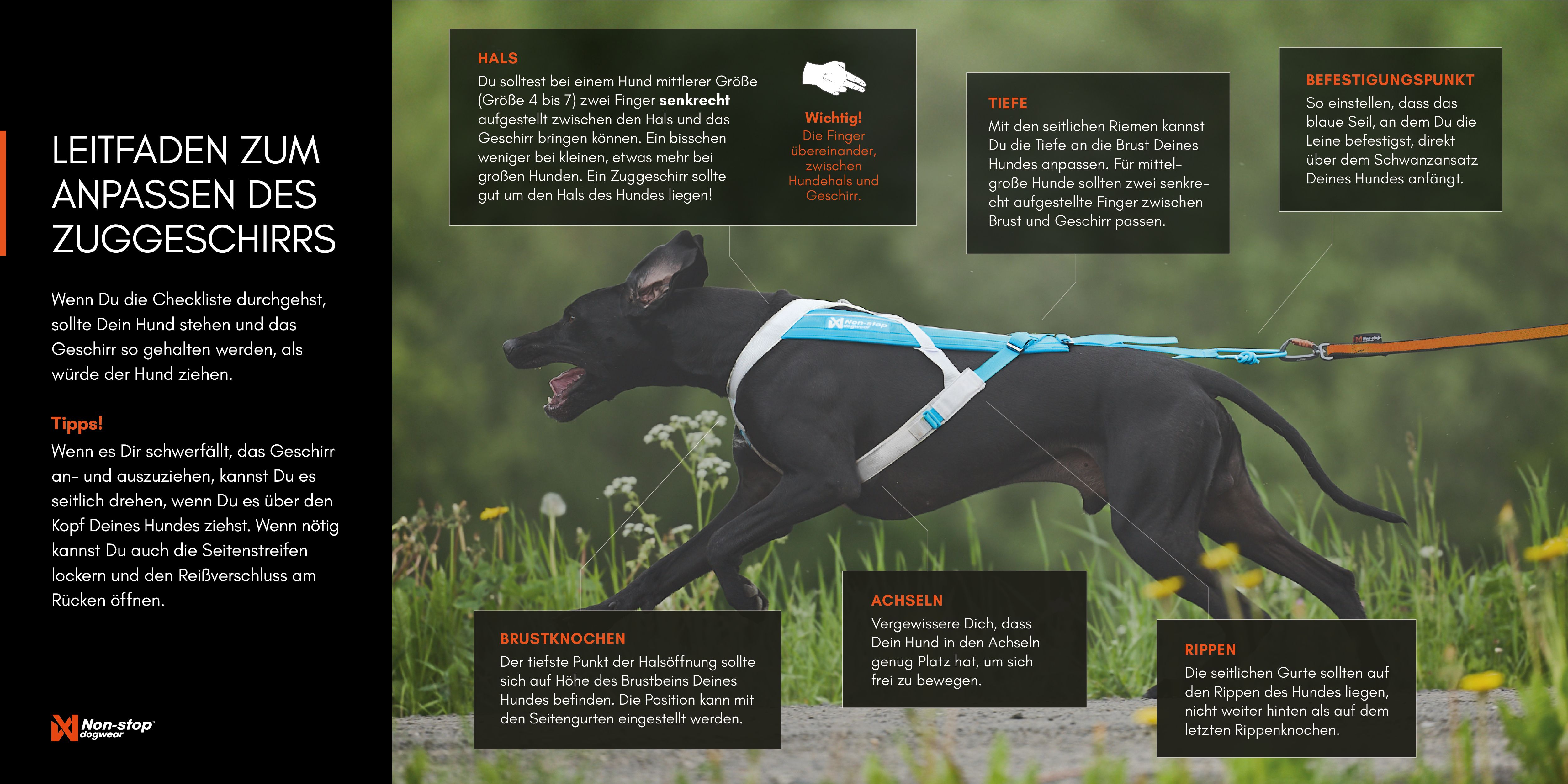Non-Stop Dogwear Freemotion Harness 5.0 Vetovaljaat - Harmaa/Pinkki, 7