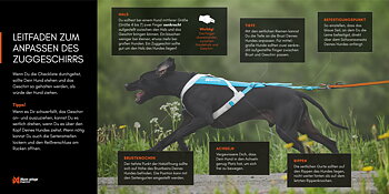 Non-Stop Dogwear Freemotion Harness 5.0 Vetovaljaat - Harmaa/Pinkki, 7