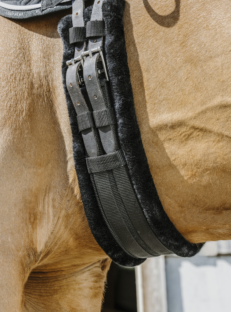 NORTON 'Smooth' Kort Elastisk Sadelgjord Svart (50)