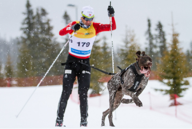 Non-stop Dogwear Freemotion sele, 3 - 11