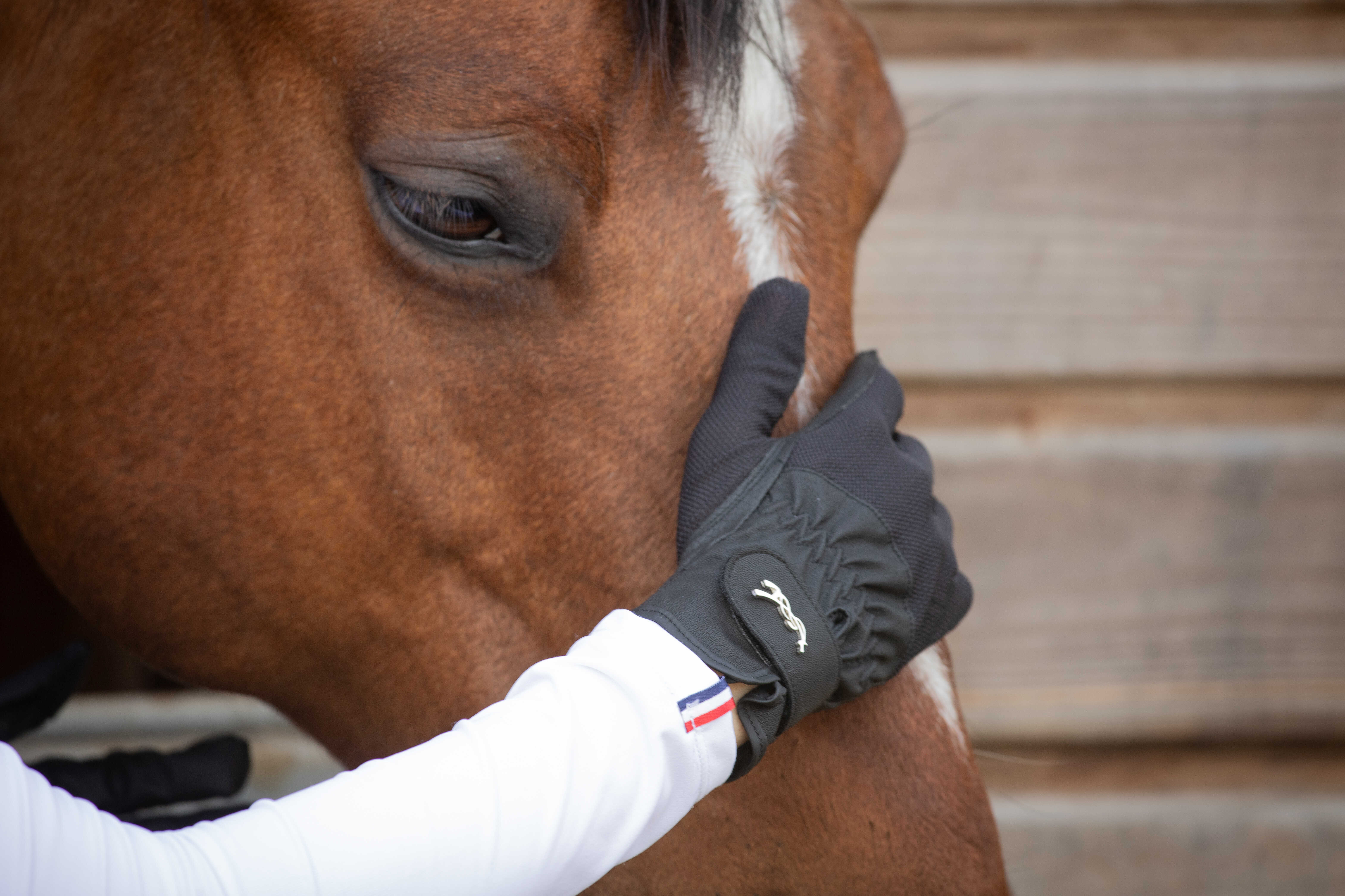 Pénélope Competition Riding Gloves Black - 5