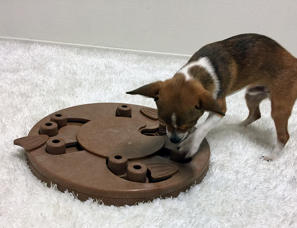 Dog Worker - Nina Ottosson - 4